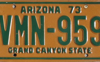 Arizona license Search