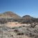 Arizona Desert Homes